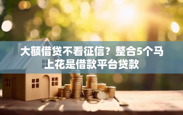 大额借贷不看征信？整合5个马上花是借款平台贷款