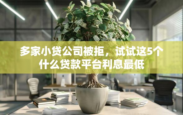 多家小贷公司被拒，试试这5个什么贷款平台利息最低