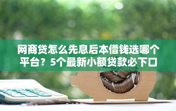 网商贷怎么先息后本借钱选哪个平台？5个最新小额贷款必下口子推荐