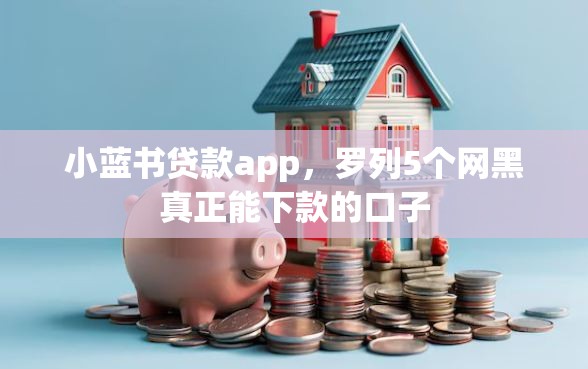 小蓝书贷款app，罗列5个网黑真正能下款的口子