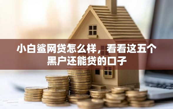 小白鲨网贷怎么样，看看这五个黑户还能贷的口子