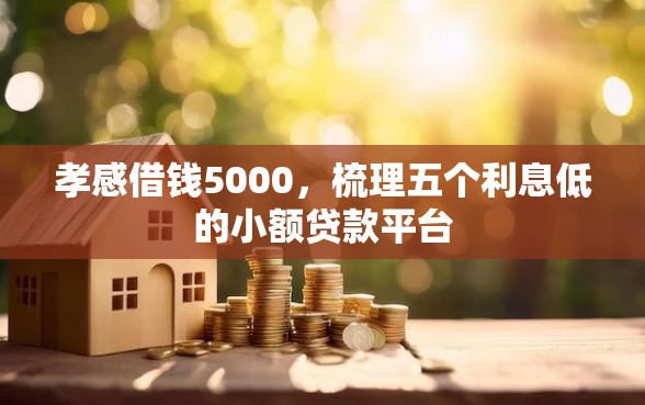 孝感借钱5000，梳理五个利息低的小额贷款平台