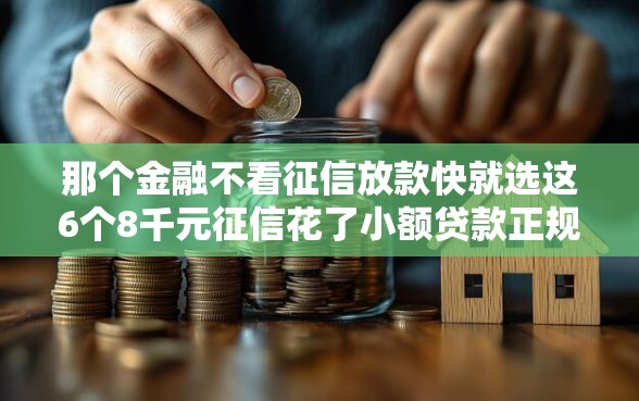 那个金融不看征信放款快就选这6个8千元征信花了小额贷款正规平台
