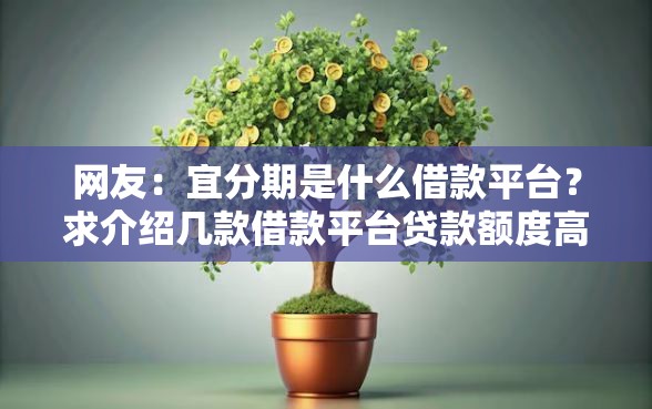 网友：宜分期是什么借款平台？求介绍几款借款平台贷款额度高