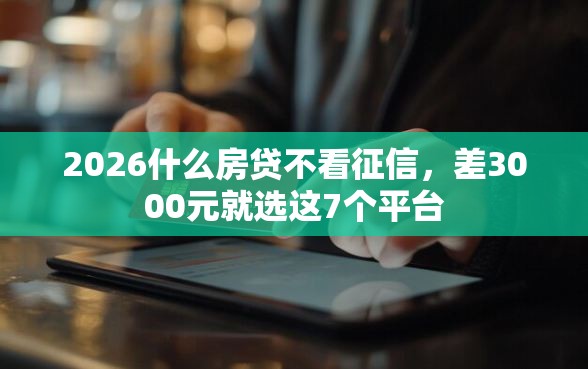 2026什么房贷不看征信,差3000元就选这7个平台 2026什么房贷不看征信,差3000元就选这7个平台