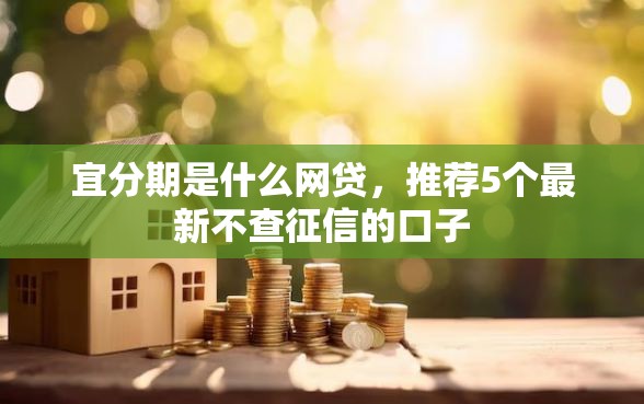 宜分期是什么网贷，推荐5个最新不查征信的口子