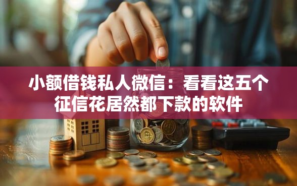 小额借钱私人微信：看看这五个征信花居然都下款的软件