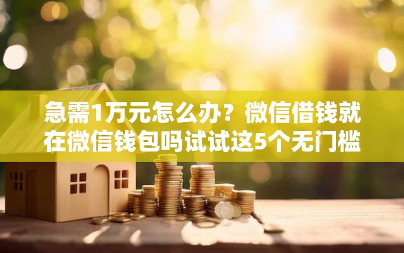 急需1万元怎么办？微信借钱就在微信钱包吗试试这5个无门槛平台