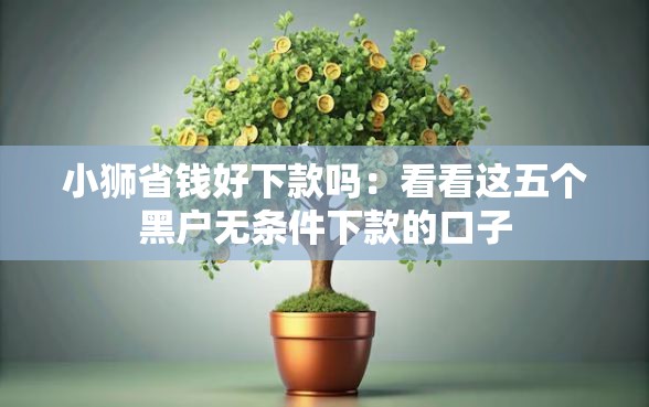 小狮省钱好下款吗：看看这五个黑户无条件下款的口子