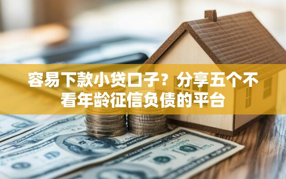 容易下款小贷口子？分享五个不看年龄征信负债的平台