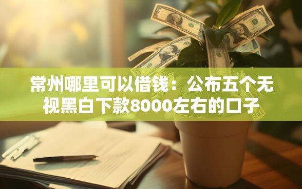 常州哪里可以借钱：公布五个无视黑白下款8000左右的口子