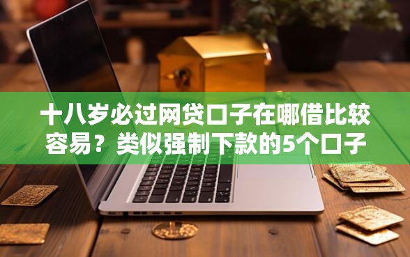 十八岁必过网贷口子在哪借比较容易？类似强制下款的5个口子参考