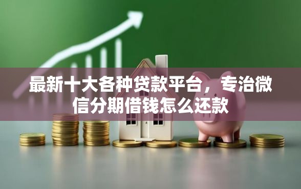 最新十大各种贷款平台，专治微信分期借钱怎么还款