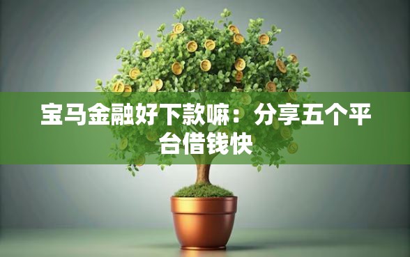 宝马金融好下款嘛：分享五个平台借钱快