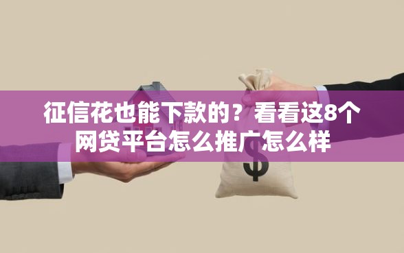 征信花也能下款的？看看这8个网贷平台怎么推广怎么样