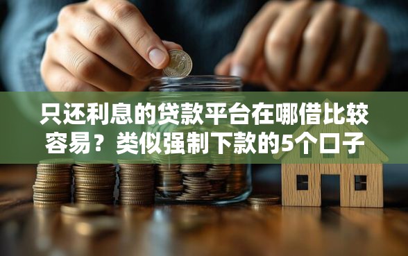 只还利息的贷款平台在哪借比较容易？类似强制下款的5个口子参考