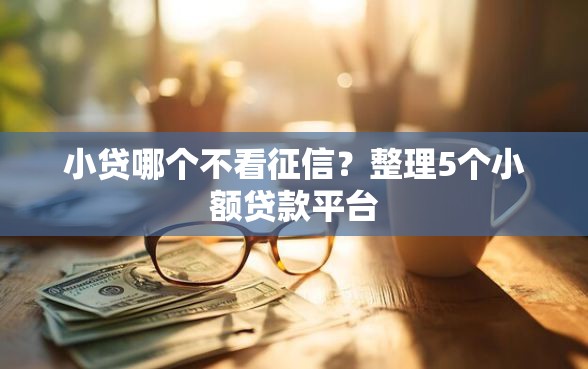 小贷哪个不看征信？整理5个小额贷款平台