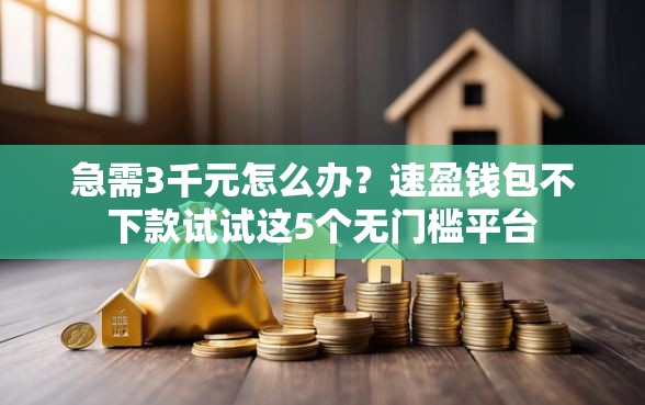 急需3千元怎么办?速盈钱包不下款试试这5个无门槛平台 急需3千元怎么办?速盈钱包不下款试试这5个无门槛平台