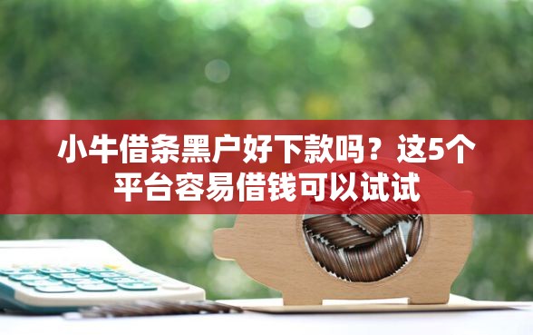 小牛借条黑户好下款吗?这5个平台容易借钱可以试试 小牛借条黑户好下款吗?这5个平台容易借钱可以试试