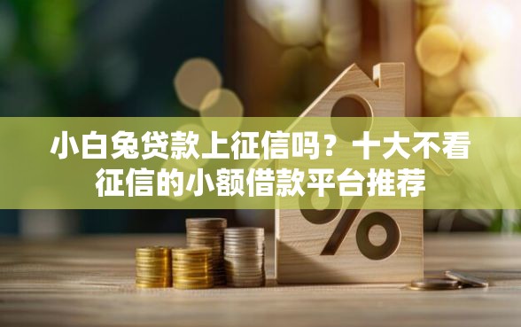 小白兔贷款上征信吗？十大不看征信的小额借款平台推荐