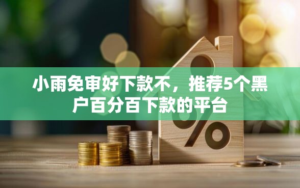 小雨免审好下款不，推荐5个黑户百分百下款的平台