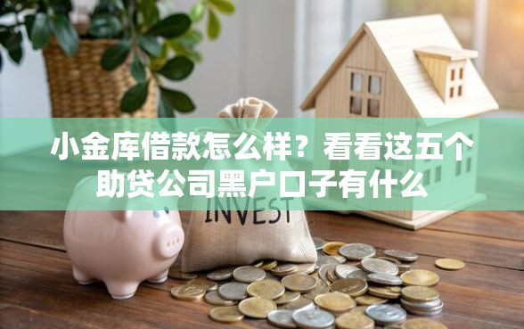 小金库借款怎么样？看看这五个助贷公司黑户口子有什么