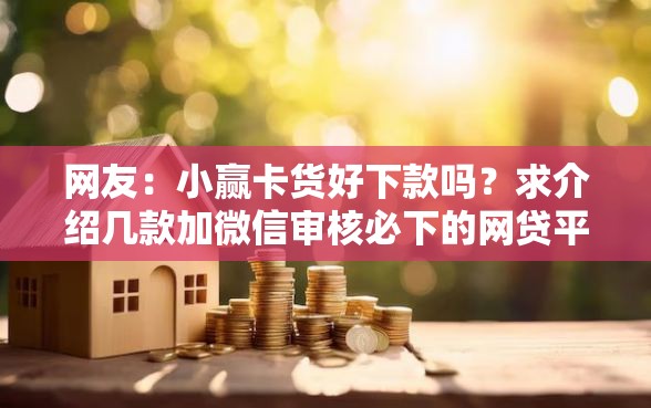 网友：小赢卡货好下款吗？求介绍几款加微信审核必下的网贷平台