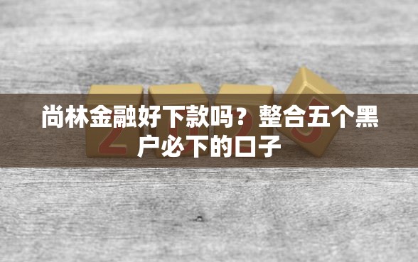 尚林金融好下款吗？整合五个黑户必下的口子