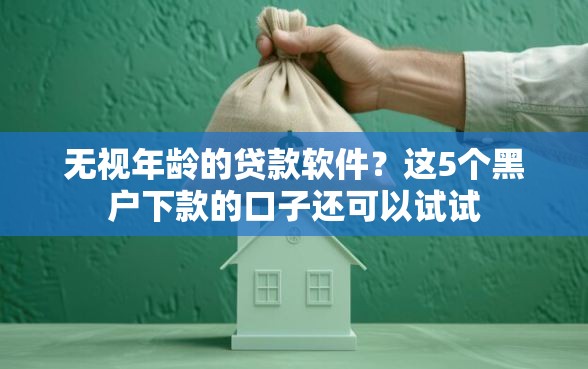 无视年龄的贷款软件？这5个黑户下款的口子还可以试试