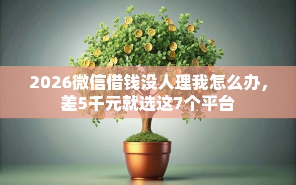 2026微信借钱没人理我怎么办，差5千元就选这7个平台