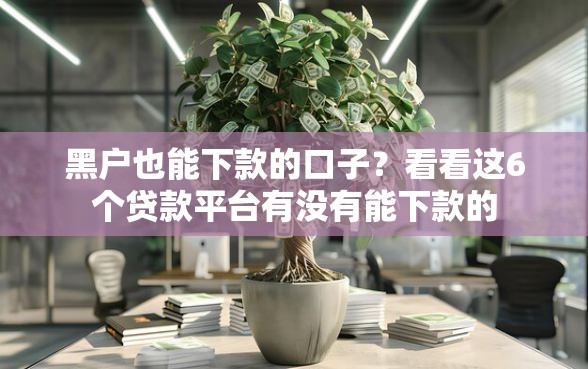 黑户也能下款的口子？看看这6个贷款平台有没有能下款的