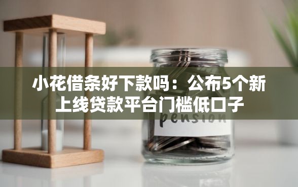 小花借条好下款吗：公布5个新上线贷款平台门槛低口子