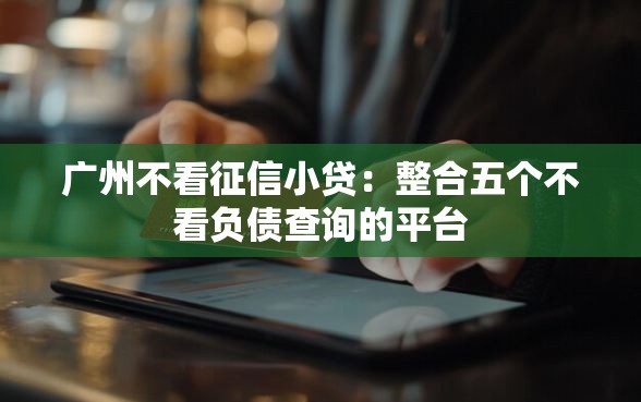 广州不看征信小贷：整合五个不看负债查询的平台