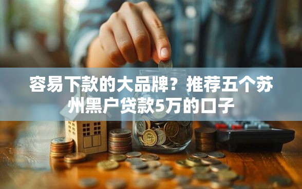 容易下款的大品牌？推荐五个苏州黑户贷款5万的口子