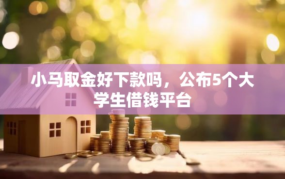 小马取金好下款吗，公布5个大学生借钱平台