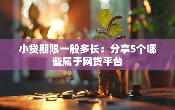 小贷期限一般多长：分享5个哪些属于网贷平台