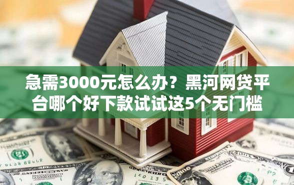 急需3000元怎么办？黑河网贷平台哪个好下款试试这5个无门槛平台