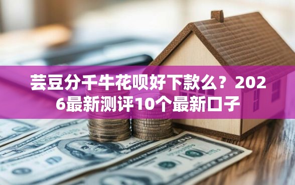 芸豆分千牛花呗好下款么？2026最新测评10个最新口子