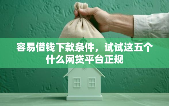 容易借钱下款条件，试试这五个什么网贷平台正规
