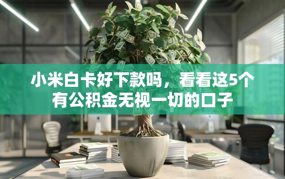小米白卡好下款吗，看看这5个有公积金无视一切的口子