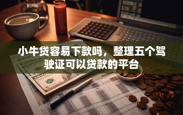 小牛贷容易下款吗，整理五个驾驶证可以贷款的平台