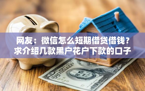 网友：微信怎么短期借贷借钱？求介绍几款黑户花户下款的口子2025
