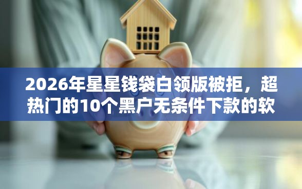 2026年星星钱袋白领版被拒，超热门的10个黑户无条件下款的软件推荐