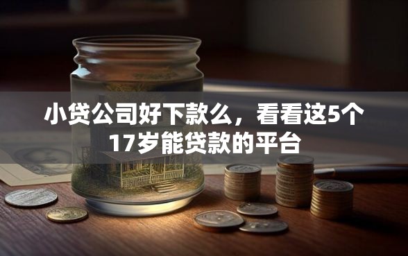 小贷公司好下款么，看看这5个17岁能贷款的平台