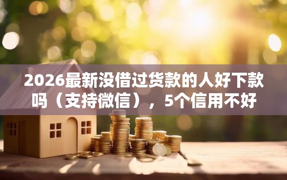 2026最新没借过货款的人好下款吗（支持微信），5个信用不好哪几个平台可以借钱无私分享