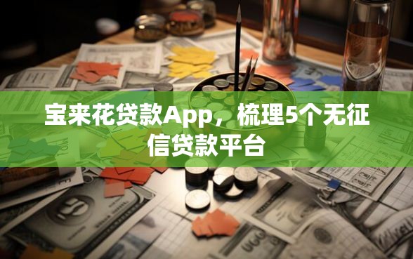 宝来花贷款App，梳理5个无征信贷款平台
