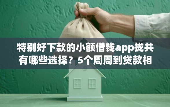 特别好下款的小额借钱app拢共有哪些选择？5个周周到贷款相同系列的平台详解