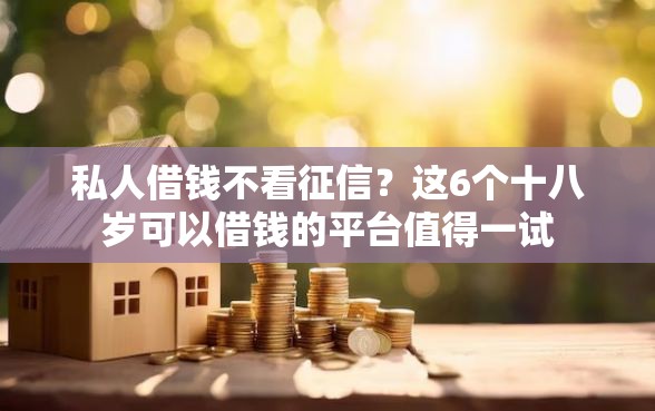 私人借钱不看征信？这6个十八岁可以借钱的平台值得一试