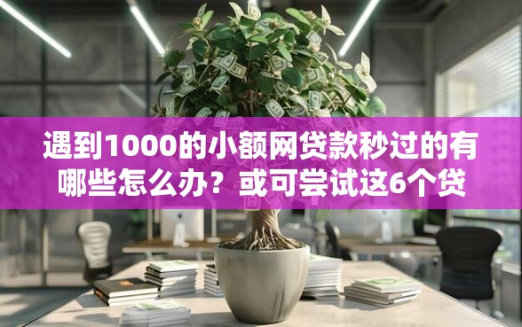 遇到1000的小额网贷款秒过的有哪些怎么办？或可尝试这6个贷款软件不看征信