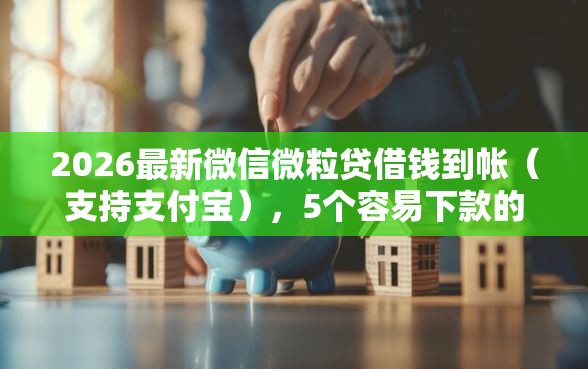 2026最新微信微粒贷借钱到帐（支持支付宝），5个容易下款的正规贷款平台无私分享
